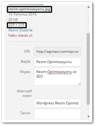 Resim alt tagları nasıl olması - resim optimizasyonu