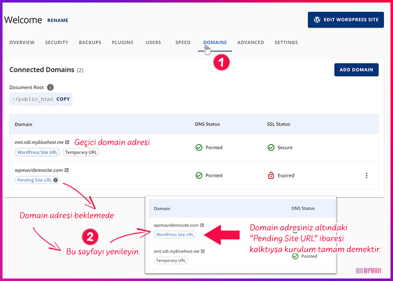 web sitesi yapmak - Domain Durum Kontrolü
