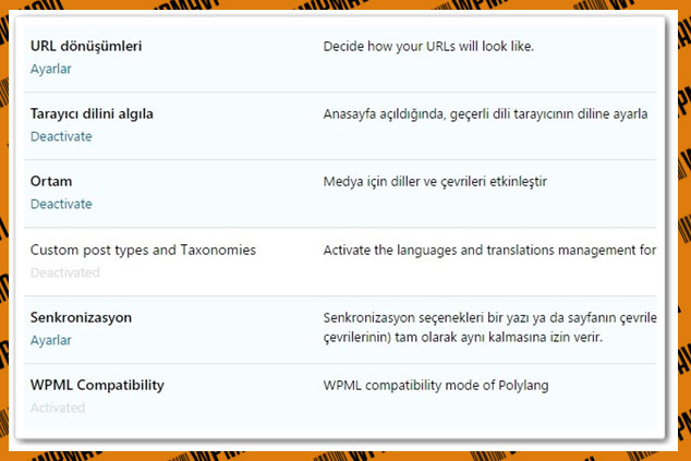 Wordpress Dil Seçeneği Ekleme Ayarları