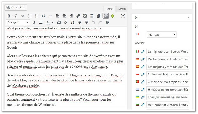 Wordpress Siteye Çoklu Dil Ekleme
