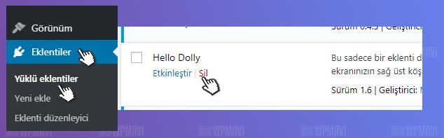 WordPress Kurduktan Sonra Yapılması Gerekenler - Hello Dolly Eklentisini Silmek