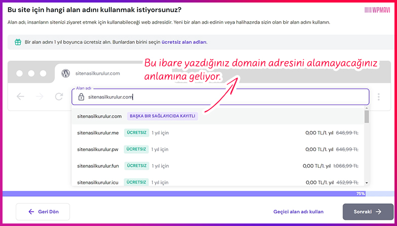 elementor ile site yapımı - Alınamaz Domain Adresi
