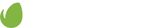 Web Tasarım Hizmeti İçin Envato WPMAVI iş birliği