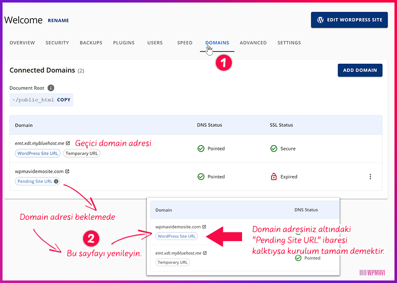 kurumsa mail kurulumu - Domain Durumu Kontrolü