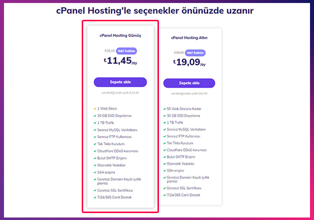 şirket uzantılı mail açmak için cPanel hosting paketleri arasında seçim yapma