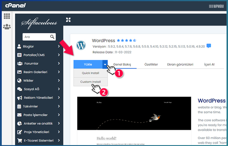 cPanel WordPress Yükleme - Custom Install