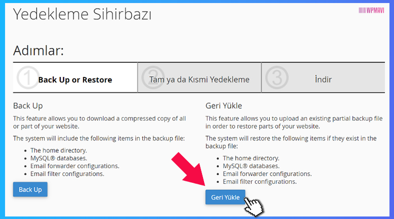 WordPress Site Yedeği Yükleme - cPanel Geri Yükle Butonu